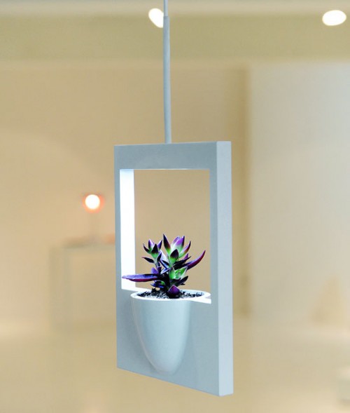 Super Modern Flower Vase With Retro Touch of Polaroids