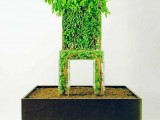 Natural Grow Chair