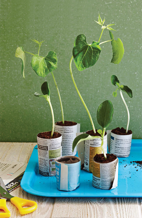 DIY Recycled Seed Pots from Newspapers and Magazines