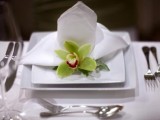 Orchids For Table Serving