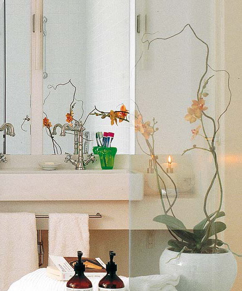 Orchids In Interior Decorating