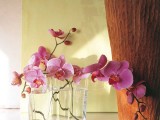 Orchids In Interior Decorating