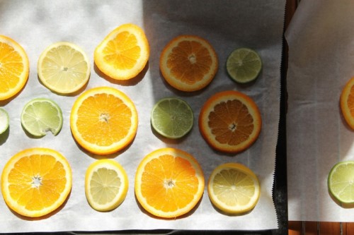 Original And Aromatic DIY Sliced Citrus Mobile