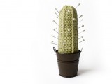 happy cactus pincushion