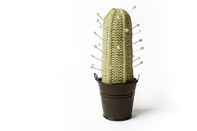 happy cactus pincushion
