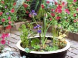 container water garden to make