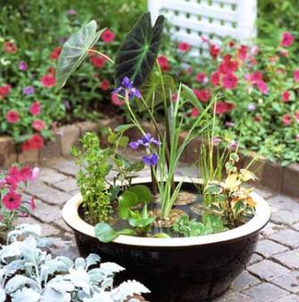 container water garden to make (via midwestliving)