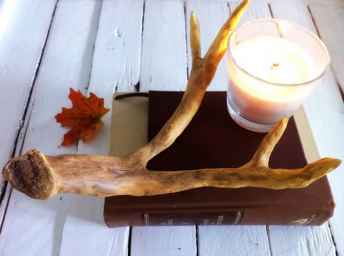 faux antlers (via shelterness)