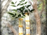 Rx Bottles Bamboo Vase