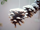 snowy pinecones