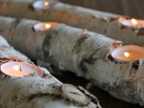 birch log fire light