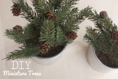 mini Christmas trees (via shelterness)