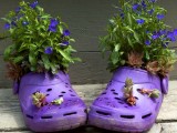 Shoes Planter