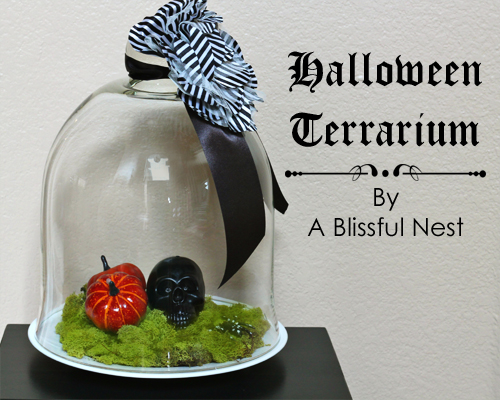 black skull and pumpkin terrarium (via ablissfulnest)