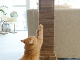 Simple Cardboard Diy Catscraper