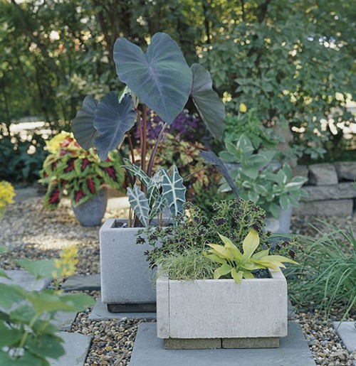 Simple DIY Concrete Outdoor Planters From Pavers