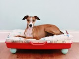 red suitcase dog bed