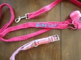 dog leash and collar