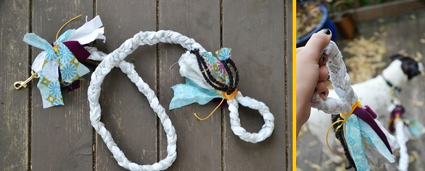 fabric braided leash
