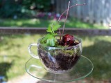 Small And Cool Diy Glass Terrariums