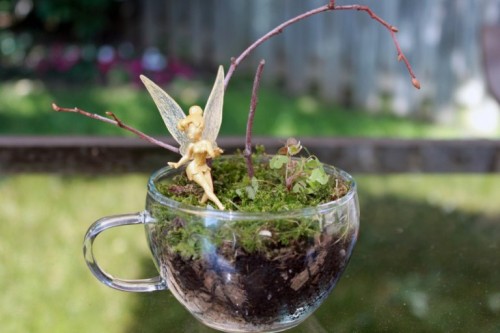Small And Cool Diy Glass Terrariums