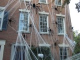 giant spiders in spiderwebs will make your house look very spooky from outdoors and not everyone will risk to visit it