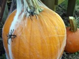 a pumpkin covered with spiderwebs and spiders is a great Halloween decoration to make last minute