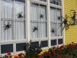 spiders of various sizes placed on the windows and walls are great and stylish Halloween decorations for outdoors