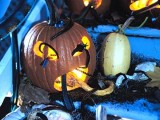 scary carved pumpkins with snakes, spiders and lights are very spooky decorations for Halloween