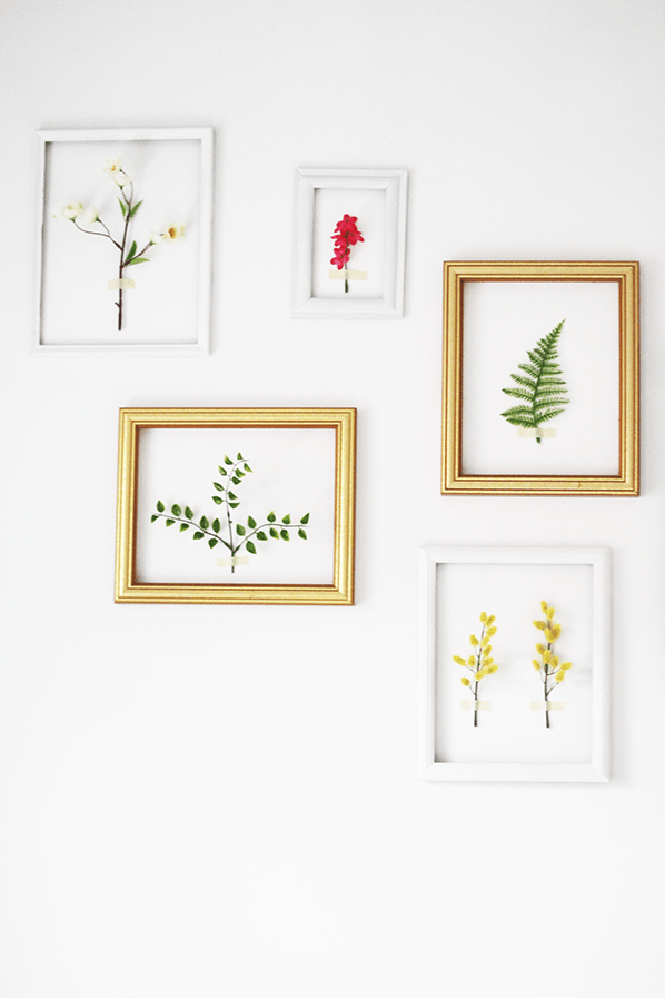 3D botanical framed wall
