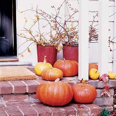 bright natural pumpkins and blooming branches with leaves in buckets for a natural fall Thanksgiving porch