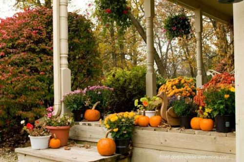 simple Thanksgiving porch decor with orange pumpkins and traditional fall blooms potted