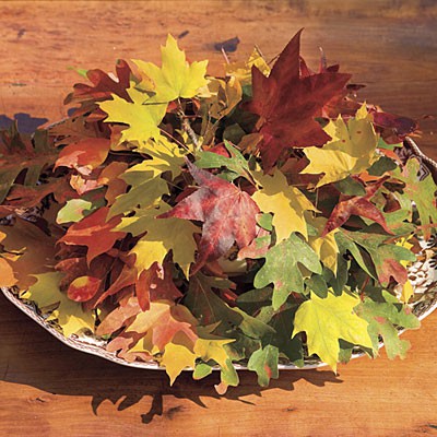 a bowl with bright fall leaves is an easy last minute centerpiece for Thanksgiving