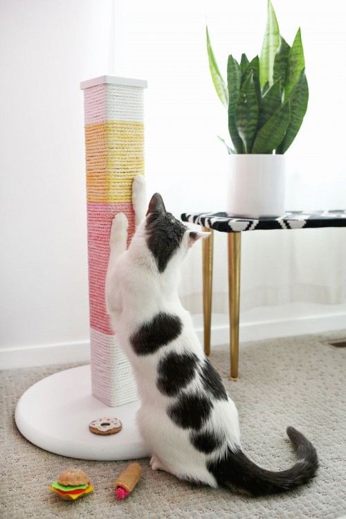Trendy DIY Color Blocked Cat Scratcher