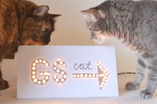 marquee cat sign (via dreamalittlebigger)