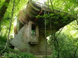 Unusual Forest Home
