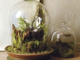 Using Mini Terrariums In Interior Decorating