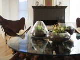 Using Mini Terrariums In Interior Decorating