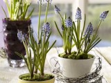 Using Tableware As Planters And Vases