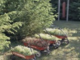 Vintage Outdoor Planters