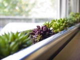 DIY Windowbox Succulent Planter