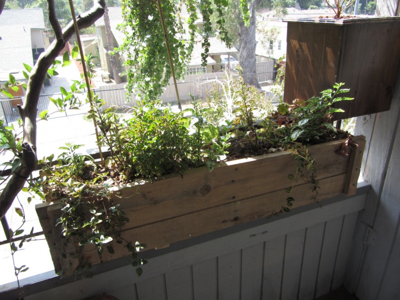 DIY Window Box Made From A Packing Crate